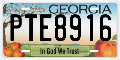 GA license plate PTE8916