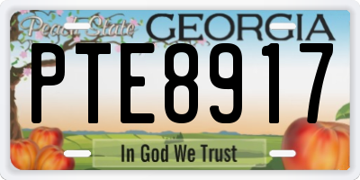 GA license plate PTE8917