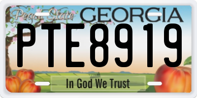 GA license plate PTE8919