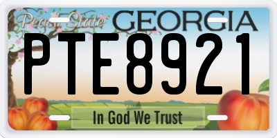 GA license plate PTE8921