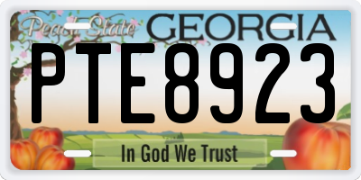 GA license plate PTE8923