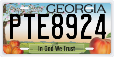 GA license plate PTE8924