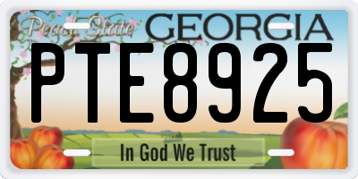 GA license plate PTE8925
