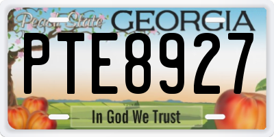 GA license plate PTE8927
