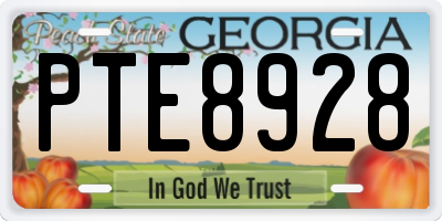 GA license plate PTE8928