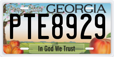 GA license plate PTE8929