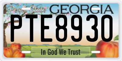 GA license plate PTE8930