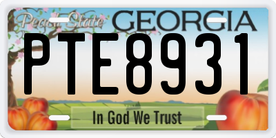 GA license plate PTE8931