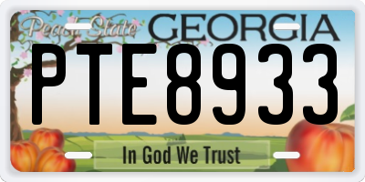 GA license plate PTE8933