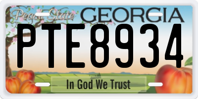GA license plate PTE8934