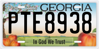 GA license plate PTE8938