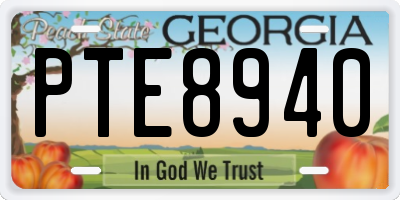 GA license plate PTE8940