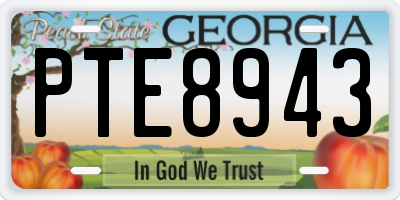 GA license plate PTE8943