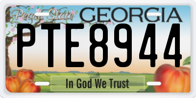 GA license plate PTE8944