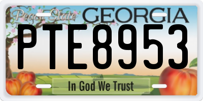 GA license plate PTE8953
