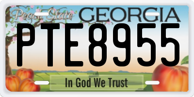 GA license plate PTE8955