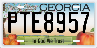 GA license plate PTE8957