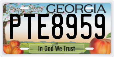 GA license plate PTE8959
