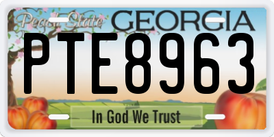 GA license plate PTE8963