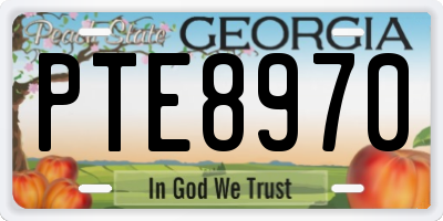 GA license plate PTE8970