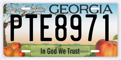 GA license plate PTE8971