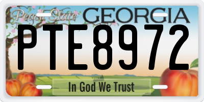 GA license plate PTE8972