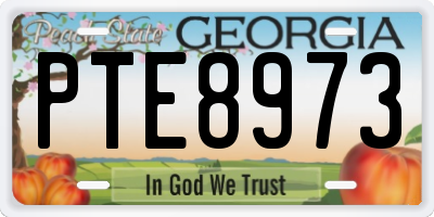 GA license plate PTE8973