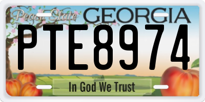GA license plate PTE8974