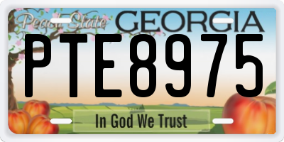GA license plate PTE8975