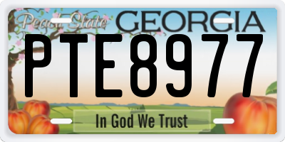 GA license plate PTE8977