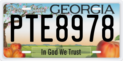 GA license plate PTE8978
