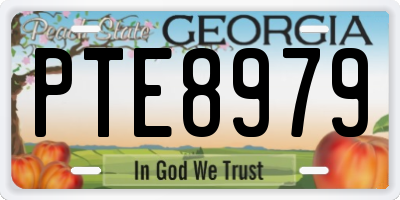 GA license plate PTE8979