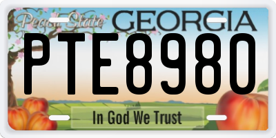 GA license plate PTE8980