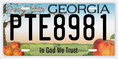 GA license plate PTE8981