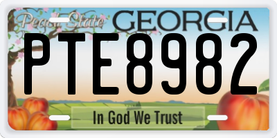 GA license plate PTE8982