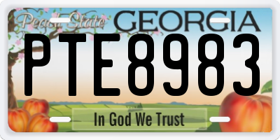 GA license plate PTE8983