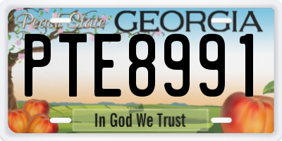 GA license plate PTE8991