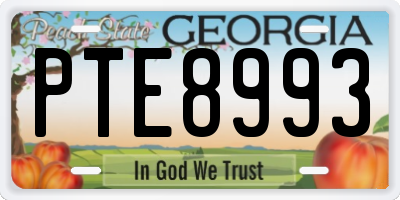GA license plate PTE8993