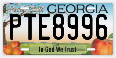 GA license plate PTE8996