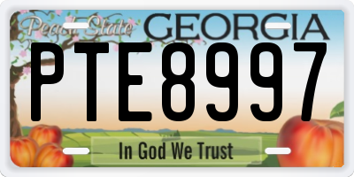 GA license plate PTE8997