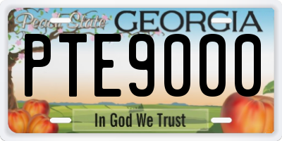 GA license plate PTE9000