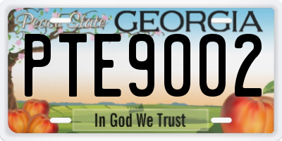GA license plate PTE9002