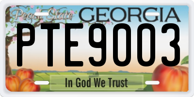 GA license plate PTE9003