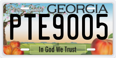GA license plate PTE9005