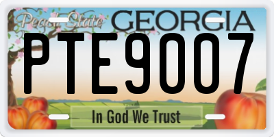 GA license plate PTE9007