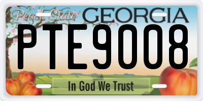 GA license plate PTE9008