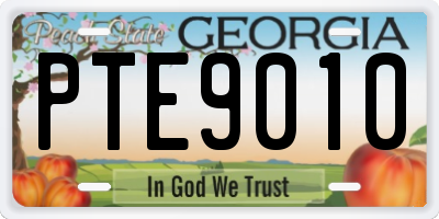 GA license plate PTE9010