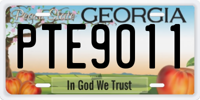 GA license plate PTE9011