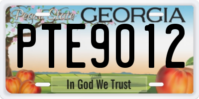 GA license plate PTE9012