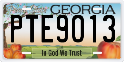 GA license plate PTE9013